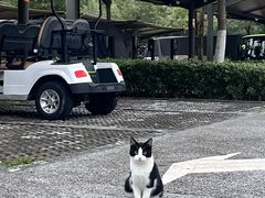 -汉长安城未央宫国家考古遗址公园