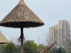 -南昌动物园