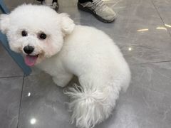 -它主义宠物(梁溪万达店)