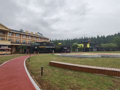 -黄海国家森林公园