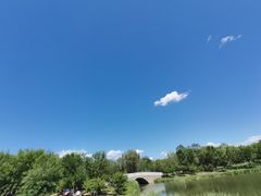 -东郊湿地公园