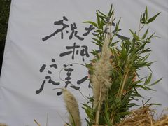 -无锡梅园公园