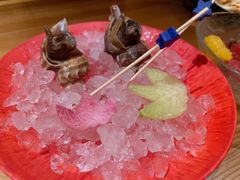 -松涛日本料理