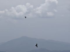 -大围山国家森林公园