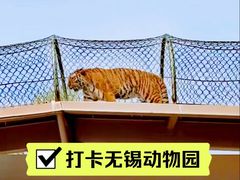 -无锡动物园·太湖欢乐园