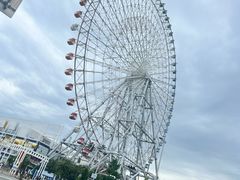 -大阪海游馆