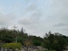 -深圳湾公园(南山区)