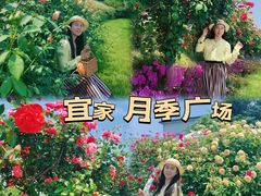 -IKEA宜家家居(南京商场)