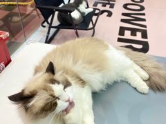-福田卓悦INTOWN购物中心