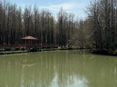 -汤记传菜(秀浦路店)