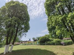 -铁山坪森林公园