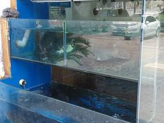 水产区-浔味·山屿湖·正宗淳牌全鱼宴老字号