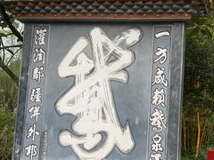 -靖西鹅泉风景区