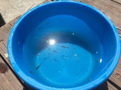 -永定河休闲森林公园