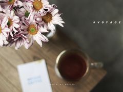 红樱桃-VOYAGE COFFEE(北锣鼓巷店)