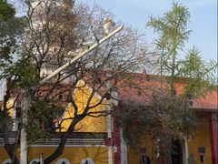 -迎江寺