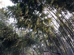 -杭州黄龙洞