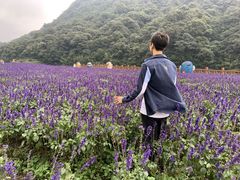 -广州市石门国家森林公园