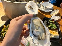 -陈记高压锅鱼头·生蚝
