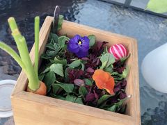 -烛影拾光观景餐厅·创意菜·摄影·小提琴(大唐不夜城店)