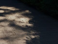 -水磨沟公园