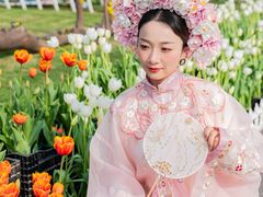 -荷兰花海