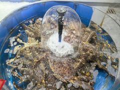 -北塘海鲜·天津菜·鲅鱼水饺是一绝(大光明桥旗舰店)
