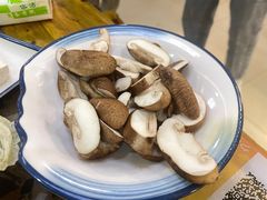 -乳仔牛牦牛汤锅 烤羊排(松潘古城店)
