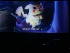 -枫花园汽车电影院(朝阳公园店)