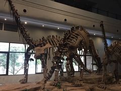 -自贡恐龙博物馆