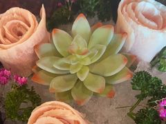 -捞王猪肚鸡火锅(昆山店)