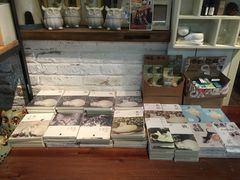 -猫咪博物馆(顶澳仔猫街店)