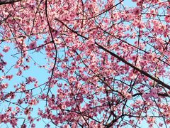 -白塘生态植物园