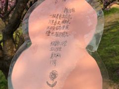 -香雪海