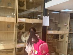 -熊小胖宠物生活馆(天华园店)