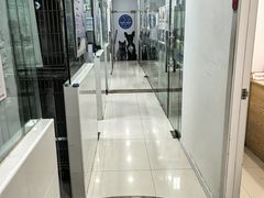 -芭比堂动物医院(广州爱宠下渡路分院)