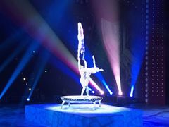 -珠海横琴长隆《卡卡虎奇遇记》