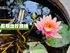 -南海神庙