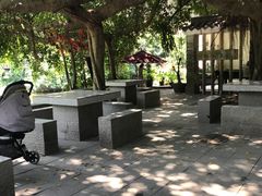 -小洲村