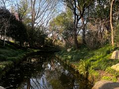 -新江湾城公园