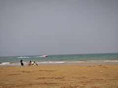 -日照海滨国家森林公园