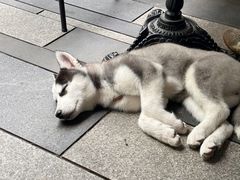 -Luneurs(幸福里店)