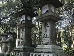 -奈良公园