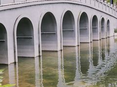 -四海公园(南山区)
