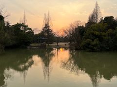 -上海滨江森林公园