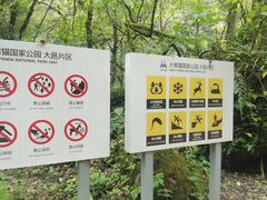 -西岭雪山大飞水景区