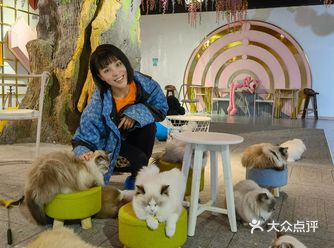 看到这家撸猫馆里那么多的喵星人憨态可掬，就忍不住想来