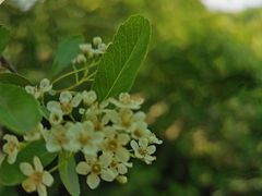 -宜兴龙背山森林公园
