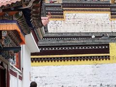 -达仓郎木寺院