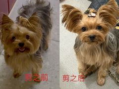 -PET WISH宠物愿望(BFC外滩金融中心店)